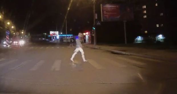 В Новосибирске на дороге засняли ходячую 