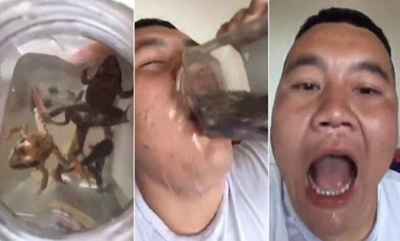 Китаец заглатывает живых рыбок, лягушек и головастиков
