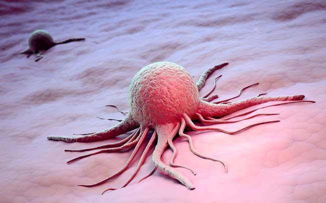 Испанские ученые выяснили, почему рак остается неизлечим